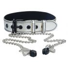 Metallic Silver Collar with Nipple Clamps