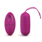Pretty Love Wireless Vibrating Egg - Arvin