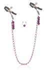 Purple Chain Nipple Clamps
