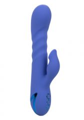 California Dreaming LA Love