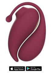 Inspiration Bluetooth Clitoral Suction Stimulator Vibrating Egg